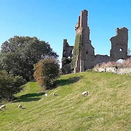 Castle Orman Evi *