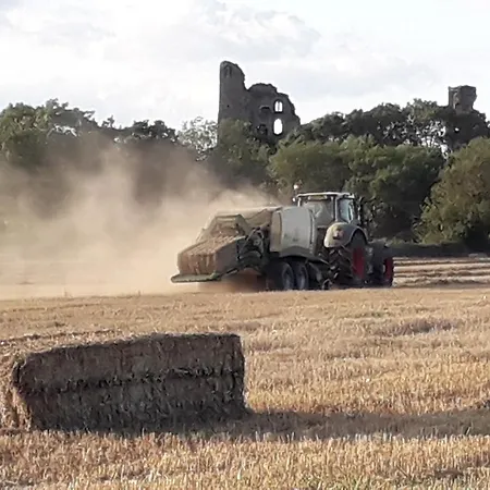 Castle 山林小屋 *