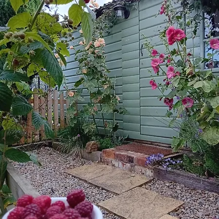 Castle * Sheriff Hutton